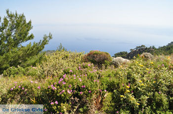 Natuur in het oosten van Karpathos | De Griekse Gids 007 - Foto van https://www.grieksegids.nl/fotos/eilandkarpathos/karpathos-mid/eiland-karpathos-153.jpg