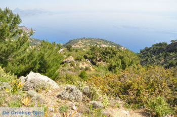 Natuur in het oosten van Karpathos | De Griekse Gids 008 - Foto van https://www.grieksegids.nl/fotos/eilandkarpathos/karpathos-mid/eiland-karpathos-154.jpg