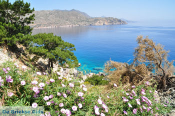 Apela Beach (Apella) | Eiland Karpathos | De Griekse Gids foto 009 - Foto van https://www.grieksegids.nl/fotos/eilandkarpathos/karpathos-mid/eiland-karpathos-174.jpg