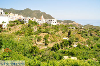Spoa | Eiland Karpathos | De Griekse Gids foto 003 - Foto van https://www.grieksegids.nl/fotos/eilandkarpathos/karpathos-mid/eiland-karpathos-185.jpg