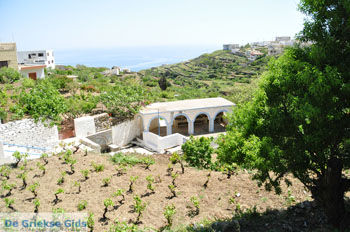 Spoa | Eiland Karpathos | De Griekse Gids foto 014 - Foto van https://www.grieksegids.nl/fotos/eilandkarpathos/karpathos-mid/eiland-karpathos-196.jpg
