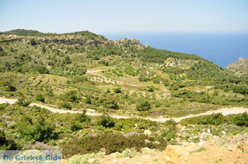 Centraal Karpathos tussen Spoa en Mesochori | De Griekse Gids foto 001 - Foto van https://www.grieksegids.nl/fotos/eilandkarpathos/karpathos-mid/eiland-karpathos-210.jpg