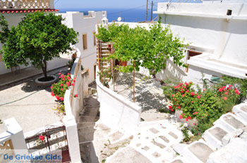 Mesochori | Eiland Karpathos | De Griekse Gids foto 008 - Foto van https://www.grieksegids.nl/fotos/eilandkarpathos/karpathos-mid/eiland-karpathos-222.jpg