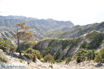 Natuur onderweg naar Olympos | Eiland Karpathos foto 003 - Foto van https://www.grieksegids.nl/fotos/eilandkarpathos/karpathos-mid/eiland-karpathos-287.jpg