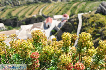 Olympos | Eiland Karpathos | De Griekse Gids foto 029 - Foto van https://www.grieksegids.nl/fotos/eilandkarpathos/karpathos-mid/eiland-karpathos-318.jpg