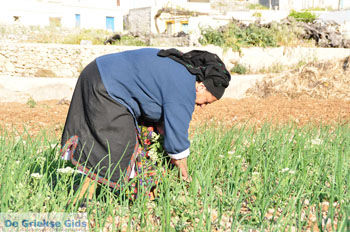 Avlonas bij Olympos | Karpathos | De Griekse Gids foto 8 - Foto van https://www.grieksegids.nl/fotos/eilandkarpathos/karpathos-mid/eiland-karpathos-448.jpg