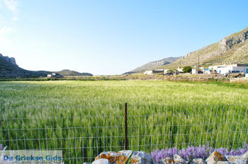 Avlonas bij Olympos | Karpathos | De Griekse Gids foto 10 - Foto van https://www.grieksegids.nl/fotos/eilandkarpathos/karpathos-mid/eiland-karpathos-450.jpg