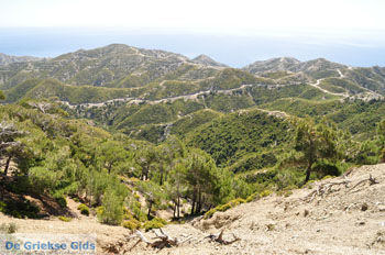 Natuur in het oosten van Karpathos | De Griekse Gids 14 - Foto van https://www.grieksegids.nl/fotos/eilandkarpathos/karpathos-mid/eiland-karpathos-481.jpg