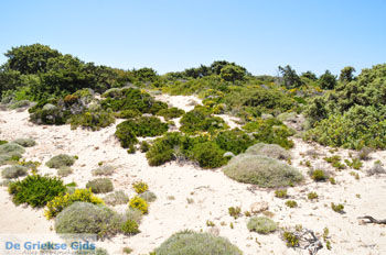 Het zuid-oosten van Karpathos | De Griekse Gids Foto 001 - Foto van https://www.grieksegids.nl/fotos/eilandkarpathos/karpathos-mid/eiland-karpathos-508.jpg
