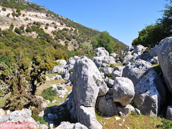 Schitterend landschap - Kefalonia - Foto 44 - Foto van https://www.grieksegids.nl/fotos/eilandkefalonia/Eiland-Kefalonia-044-mid.jpg