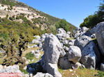 Schitterend landschap - Kefalonia - Foto 44 - Foto van De Griekse Gids