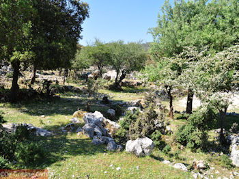 Schitterend landschap - Kefalonia - Foto 45 - Foto van https://www.grieksegids.nl/fotos/eilandkefalonia/Eiland-Kefalonia-045-mid.jpg