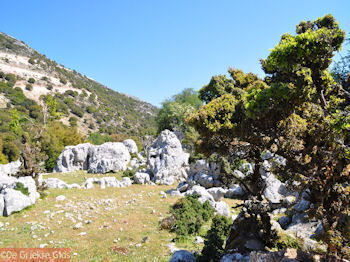 Schitterend landschap - Kefalonia - Foto 46 - Foto van https://www.grieksegids.nl/fotos/eilandkefalonia/Eiland-Kefalonia-046-mid.jpg