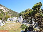 Schitterend landschap - Kefalonia - Foto 46 - Foto van De Griekse Gids