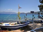 Karavomilos bij Sami - Kefalonia - Foto 209 - Foto van De Griekse Gids