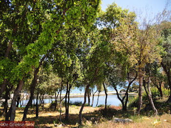Karavomilos bij Sami - Kefalonia - Foto 224 - Foto van https://www.grieksegids.nl/fotos/eilandkefalonia/Eiland-Kefalonia-224-mid.jpg