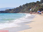 Makris Gialos-strand Lassi - Kefalonia - Foto 293 - Foto van De Griekse Gids
