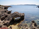 Baaien bij Lassi - Kefalonia - Foto 302 - Foto van De Griekse Gids