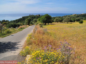 Trapezaki - Kefalonia - Foto 343 - Foto van https://www.grieksegids.nl/fotos/eilandkefalonia/Eiland-Kefalonia-343-mid.jpg