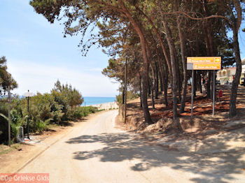 Skala Kefalonia - Kefalonia - Foto 400 - Foto van https://www.grieksegids.nl/fotos/eilandkefalonia/Eiland-Kefalonia-400-mid.jpg
