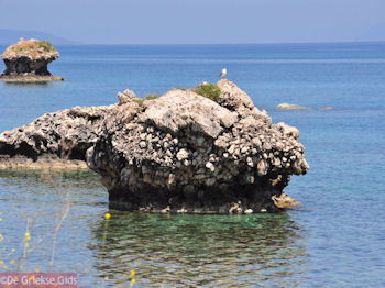 Van Skala Kefalonia naar Poros Kefalonia - Kefalonia - Foto 429 - Foto van https://www.grieksegids.nl/fotos/eilandkefalonia/Eiland-Kefalonia-429-mid.jpg