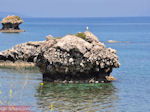 Van Skala Kefalonia naar Poros Kefalonia - Kefalonia - Foto 429 - Foto van De Griekse Gids