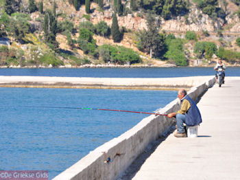 Argostoli - Kefalonia - Foto 486 - Foto van https://www.grieksegids.nl/fotos/eilandkefalonia/Eiland-Kefalonia-486-mid.jpg
