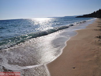 Strand Makris Gialos Lassi - Kefalonia - Foto 496 - Foto van https://www.grieksegids.nl/fotos/eilandkefalonia/Eiland-Kefalonia-496-mid.jpg