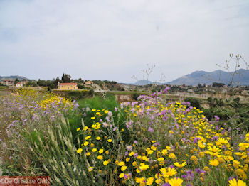 Bij Lixouri op het schiereiland Paliki - Kefalonia - Foto 536 - Foto van https://www.grieksegids.nl/fotos/eilandkefalonia/Eiland-Kefalonia-536-mid.jpg