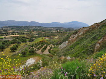 Bij Lixouri op het schiereiland Paliki - Kefalonia - Foto 539 - Foto van https://www.grieksegids.nl/fotos/eilandkefalonia/Eiland-Kefalonia-539-mid.jpg