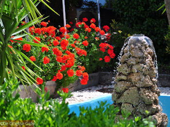 Lassi - Kefalonia - Foto 574 - Foto van https://www.grieksegids.nl/fotos/eilandkefalonia/Eiland-Kefalonia-574-mid.jpg