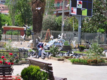Argostoli - Kefalonia - Foto 587 - Foto van https://www.grieksegids.nl/fotos/eilandkefalonia/Eiland-Kefalonia-587-mid.jpg