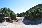 Paradise Beach Kos | Eiland Kos | Griekenland foto 10 - Foto van De Griekse Gids