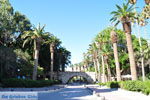 Kos stad (Kos-stad) | Eiland Kos | Griekenland foto 9 - Foto van De Griekse Gids
