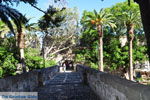 Kos stad (Kos-stad) | Eiland Kos | Griekenland foto 12 - Foto van De Griekse Gids