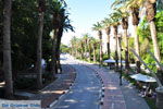 Kos stad (Kos-stad) | Eiland Kos | Griekenland foto 13 - Foto van De Griekse Gids