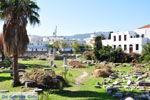 Kos stad (Kos-stad) | Eiland Kos | Griekenland | Oude (Antieke) Agora - Foto van De Griekse Gids