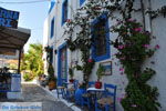 Kos stad (Kos-stad) | Eiland Kos | Griekenland foto 54 - Foto van De Griekse Gids