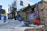 Kos stad (Kos-stad) | Eiland Kos | Griekenland foto 61 - Foto van De Griekse Gids