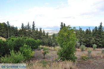 Bergdorp Zia op KosGriekenland foto 8 - Foto van https://www.grieksegids.nl/fotos/eilandkos-fotos/350pixels/eiland-kos-014.jpg
