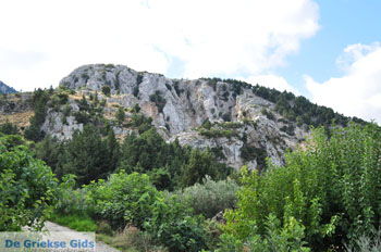 Berg Dikeos Bergdorp Zia op KosGriekenland foto 17 - Foto van https://www.grieksegids.nl/fotos/eilandkos-fotos/350pixels/eiland-kos-024.jpg