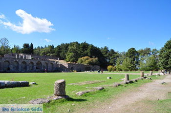 Het Asklepion op Kos | Eiland Kos | Griekenland foto 33 - Foto van https://www.grieksegids.nl/fotos/eilandkos-fotos/350pixels/eiland-kos-060.jpg