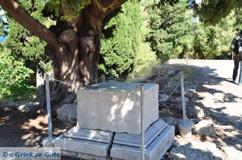 Het Odeion | Kos stad | Griekenland foto 1 - Foto van https://www.grieksegids.nl/fotos/eilandkos-fotos/350pixels/eiland-kos-061.jpg