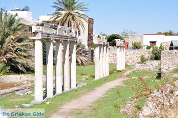 Archeologische ruines Kos stad | Eiland Kos | Griekenland foto 4 - Foto van https://www.grieksegids.nl/fotos/eilandkos-fotos/350pixels/eiland-kos-076.jpg