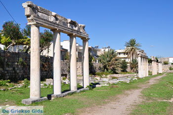 Archeologische ruines Kos stad | Eiland Kos | Griekenland foto 5 - Foto van https://www.grieksegids.nl/fotos/eilandkos-fotos/350pixels/eiland-kos-077.jpg