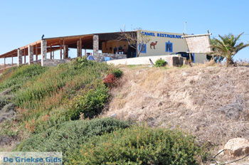 Camel Beach Kos | Eiland Kos | Griekenland foto 4 - Foto van https://www.grieksegids.nl/fotos/eilandkos-fotos/350pixels/eiland-kos-116.jpg