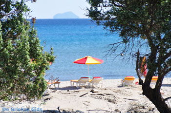 Paradise Beach Kos | Eiland Kos | Griekenland foto 11 - Foto van https://www.grieksegids.nl/fotos/eilandkos-fotos/350pixels/eiland-kos-120.jpg