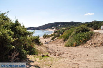 Paradise Beach Kos | Eiland Kos | Griekenland foto 12 - Foto van https://www.grieksegids.nl/fotos/eilandkos-fotos/350pixels/eiland-kos-121.jpg