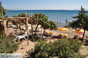 Paradise Beach Kos | Eiland Kos | Griekenland foto 13 - Foto van https://www.grieksegids.nl/fotos/eilandkos-fotos/350pixels/eiland-kos-122.jpg