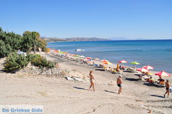 Paradise Beach Kos | Eiland Kos | Griekenland foto 15 - Foto van https://www.grieksegids.nl/fotos/eilandkos-fotos/350pixels/eiland-kos-124.jpg